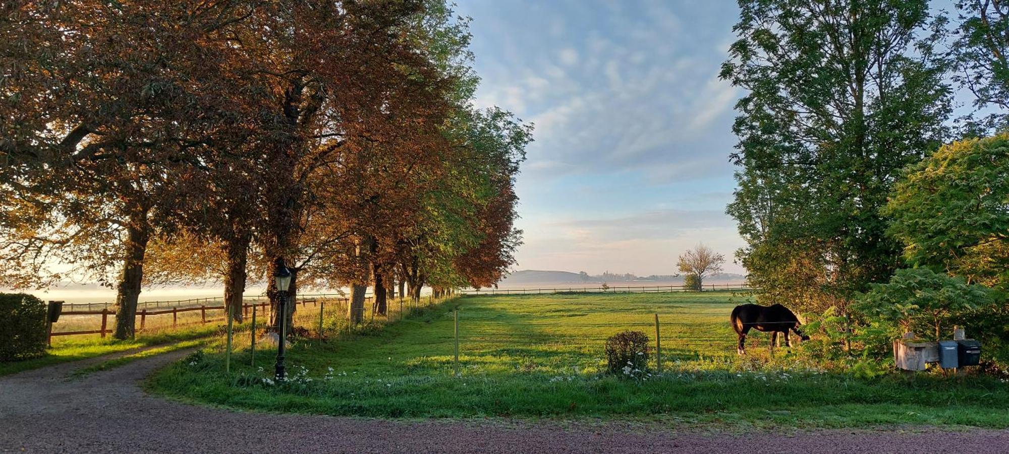 Lantligt Och Lugnt Boende Naera Natur Och Stad Svedala Exterior foto