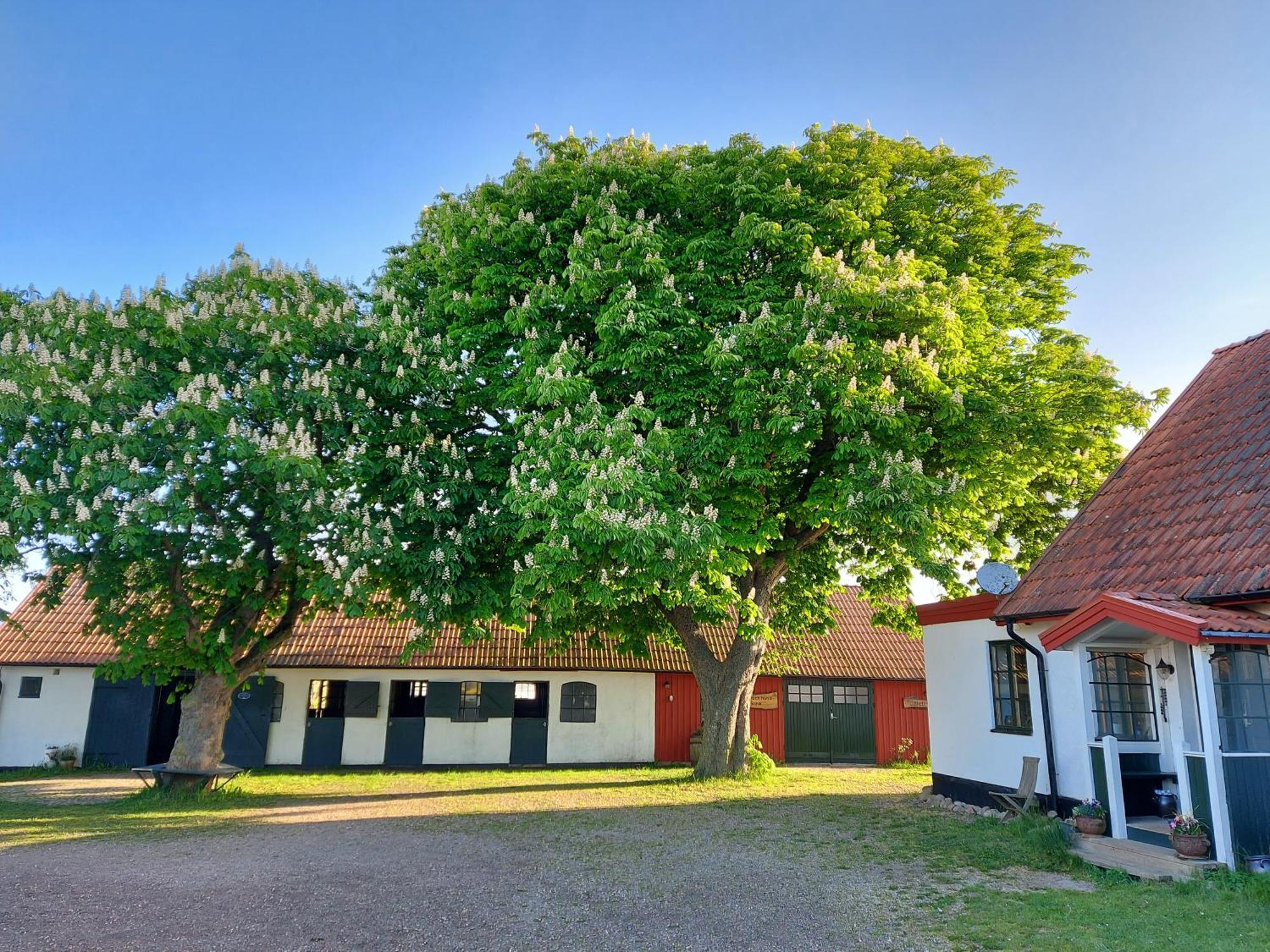 Lantligt Och Lugnt Boende Naera Natur Och Stad Svedala Exterior foto