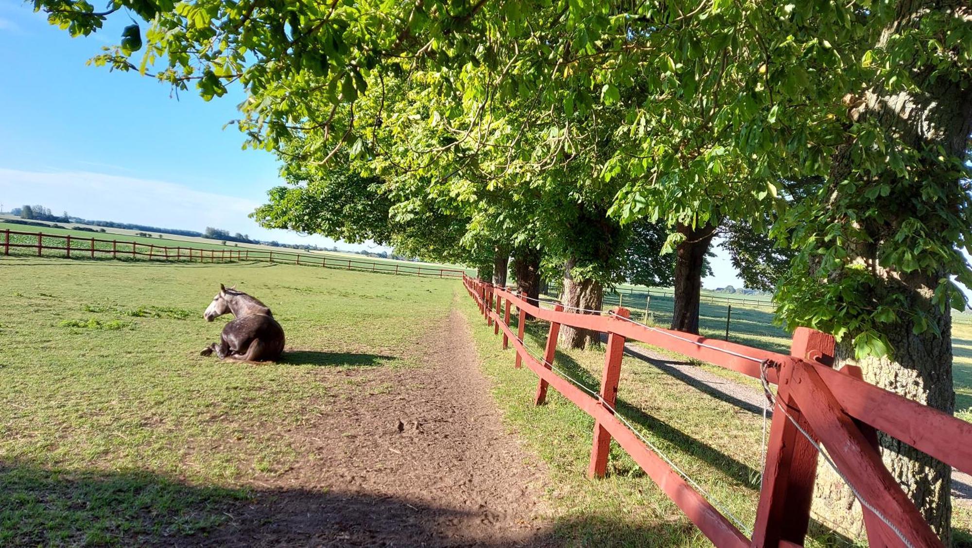 Lantligt Och Lugnt Boende Naera Natur Och Stad Svedala Exterior foto