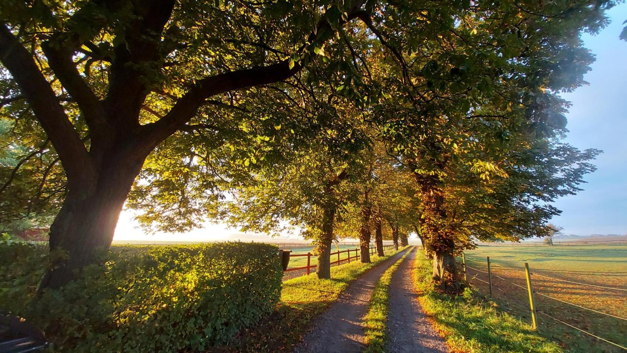 Lantligt Och Lugnt Boende Naera Natur Och Stad Svedala Exterior foto